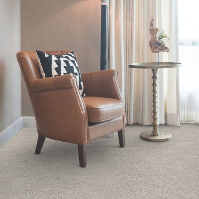 beige carpets in Richmond VA living room